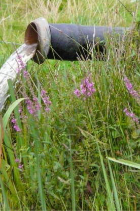 Lozen van grondwater