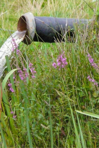 Lozen van grondwater