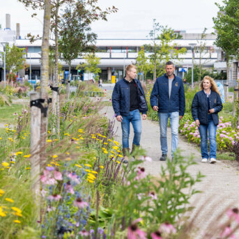 Klimaatadaptief inrichten