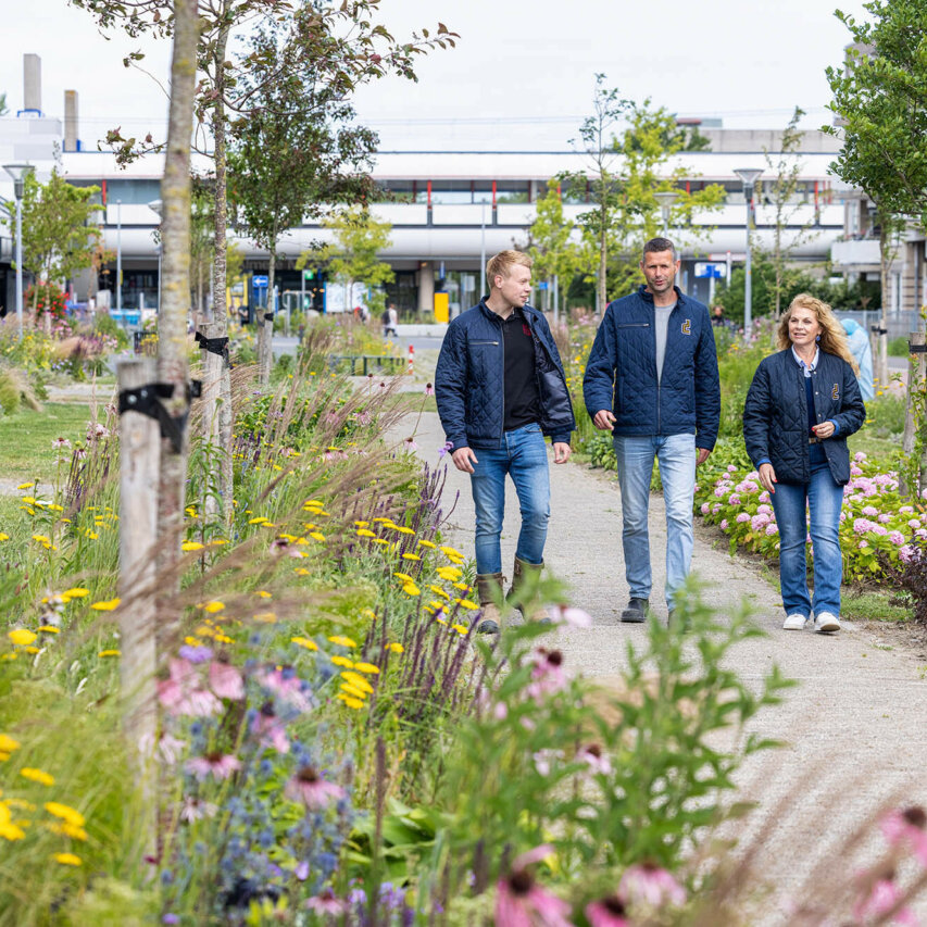 Klimaatadaptief inrichten