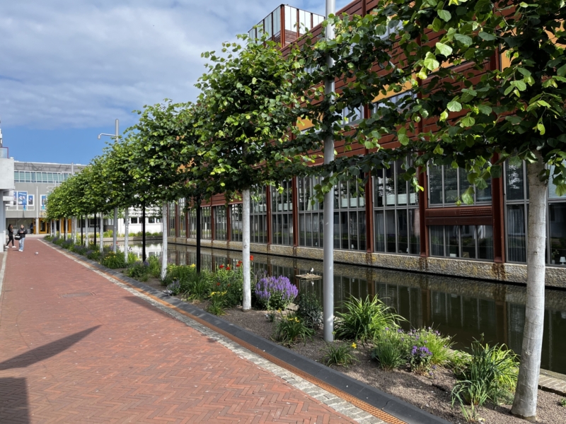 Groene randen kerkgracht marktgracht Almere