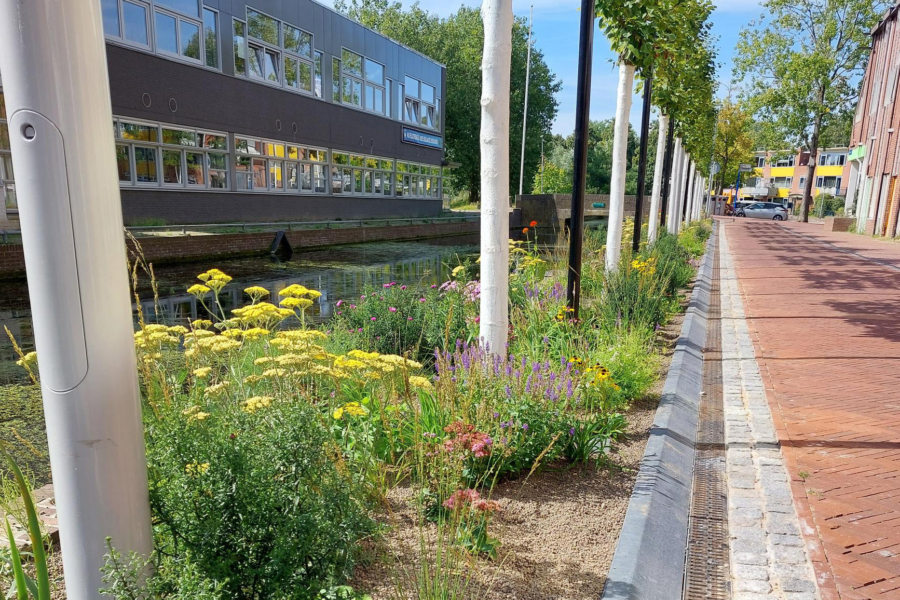 Groen Kerkgracht Marktgracht Almere