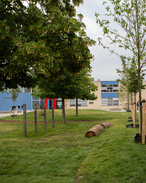Groen schoolplein OBS Het Spectrum Almere Groen schoolplein OBS Het Spectrum Almere