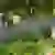 Parkof dutchdreams 1