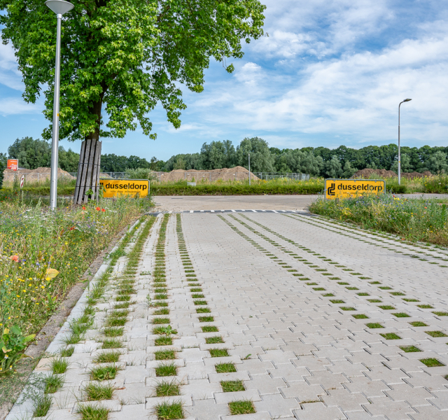Oosteres nieuw 7