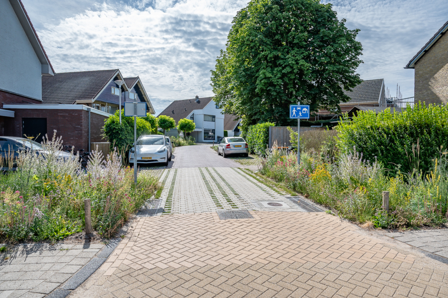 Oosteres nieuw 2