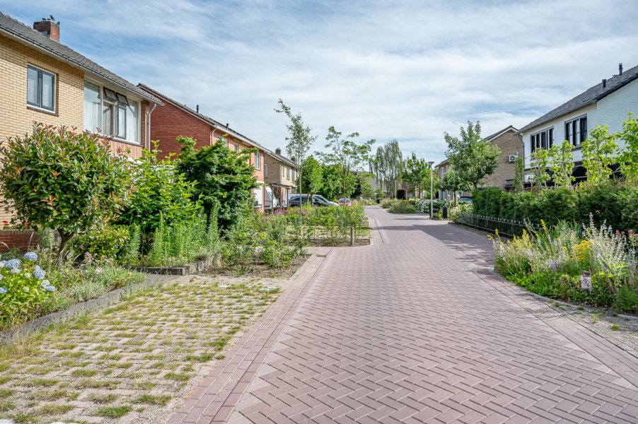 Oosteres nieuw 3