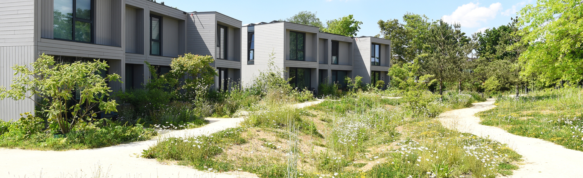 Rivierduinen Silvolde