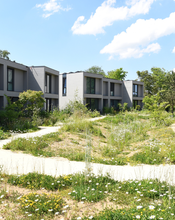 Rivierduinen Silvolde