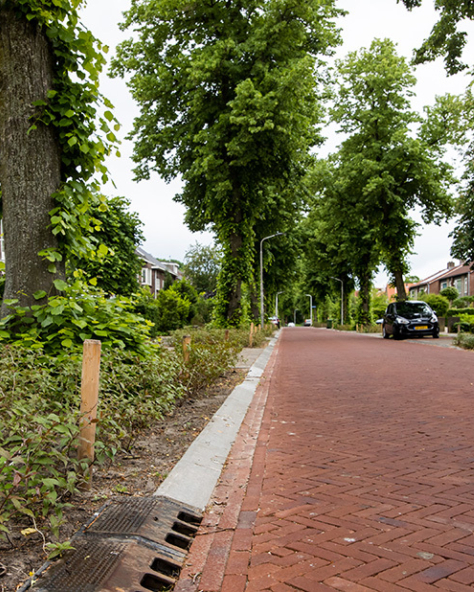 Van Peltlaan Nijmegen