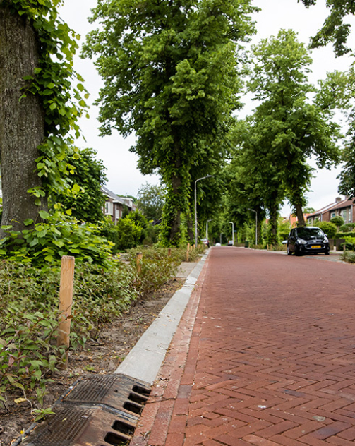 Van Peltlaan Nijmegen