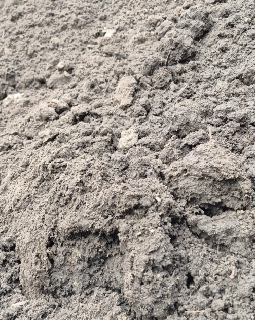 Zand 2