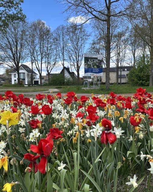 Helbergen 1