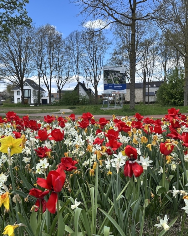 Helbergen 1