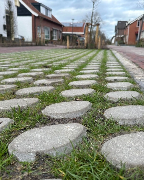 Spanjaardswijk Borne Gradient