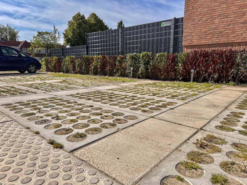 Graskeien Spoorpark Goor