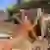 Stijn