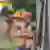 Gijs