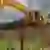 Aljan