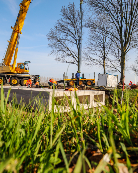 Duiker Negam Aaltsen Goor