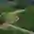 Fluttersbeek drone