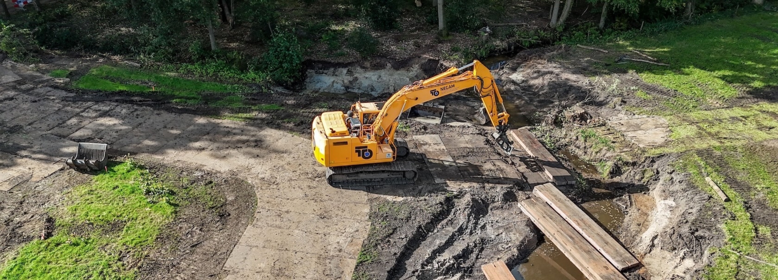 Japanse Duizendknoop 3