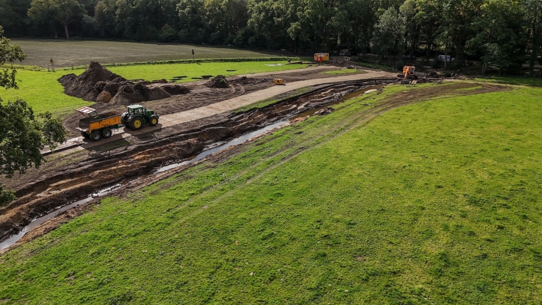 Japanse Duizendknoop 2
