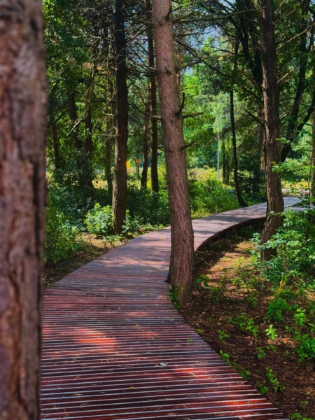 Vlonderpad Krachtighuizerheide