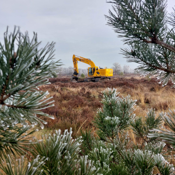 Reptielplaatsen Sallandse Heuvelrug