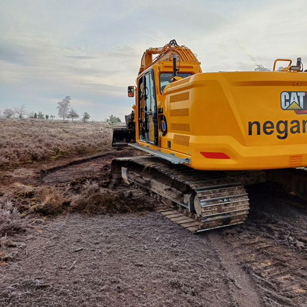 Reptielplaatsen Sallandse Heuvelrug2