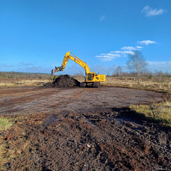 Reptielplaatsen Sallandse Heuvelrug3