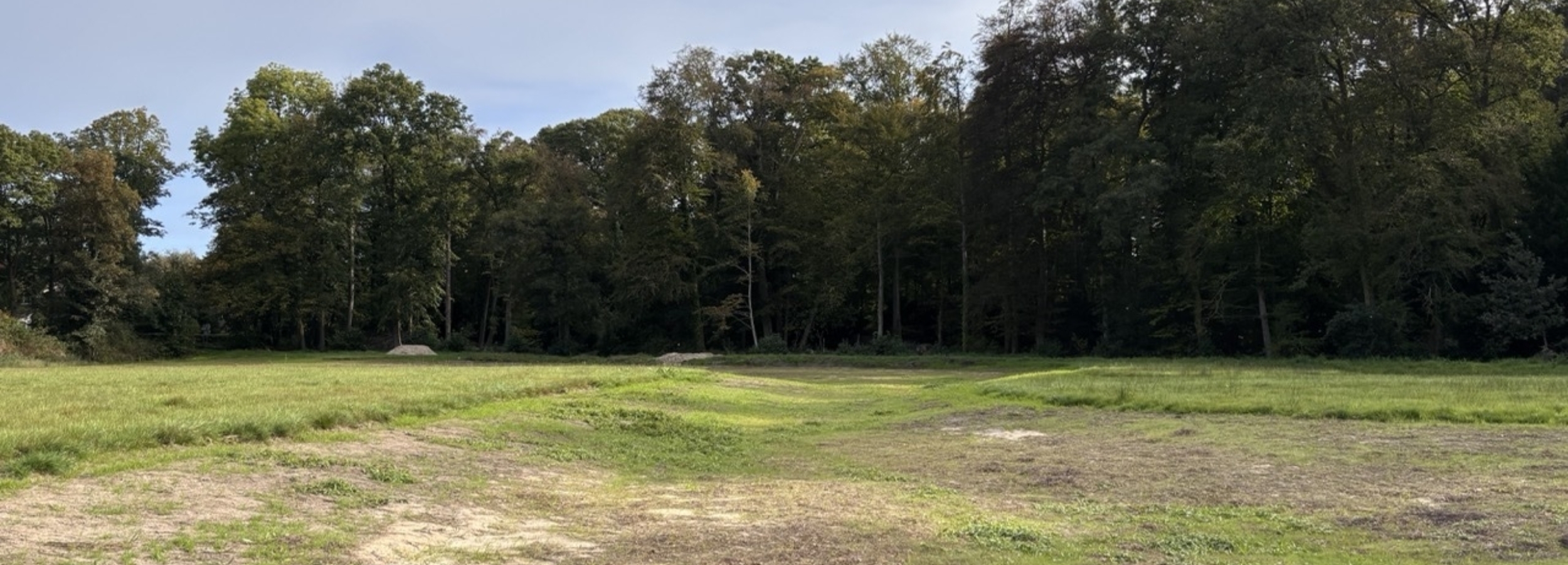 Wildenborch