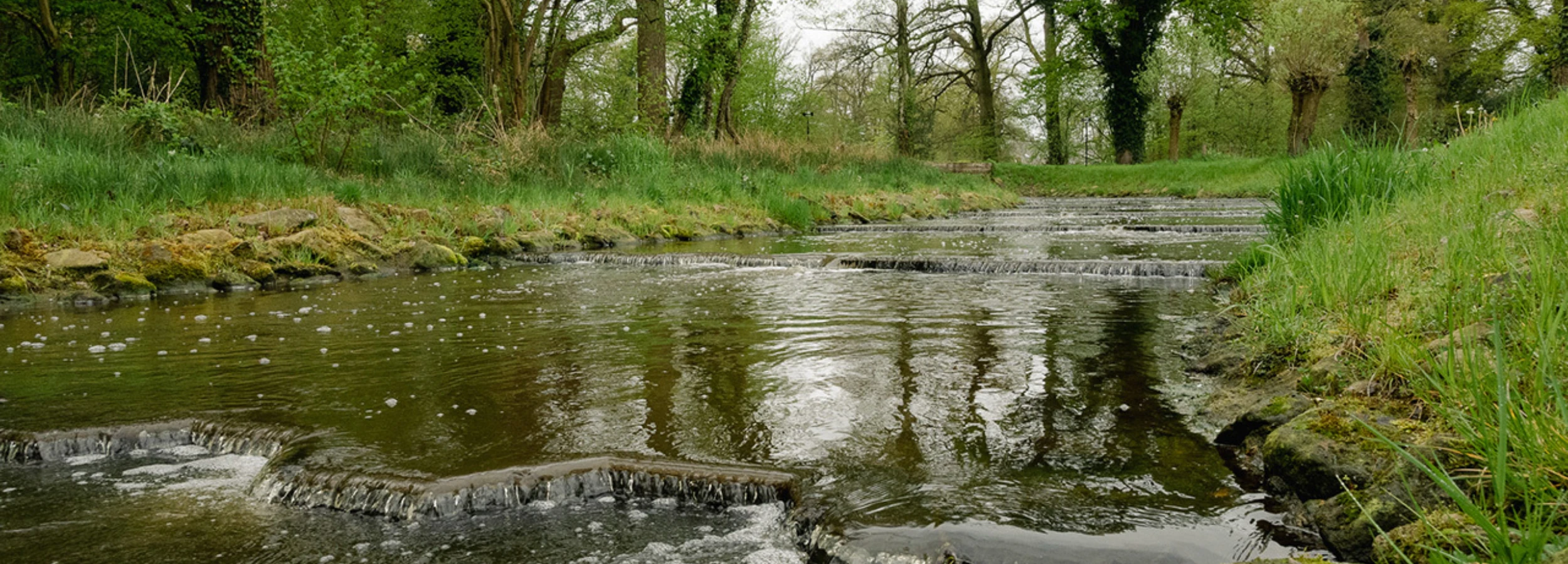 Vistrap noordmolen