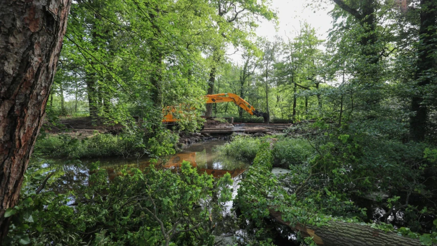 Noordmolen kraan