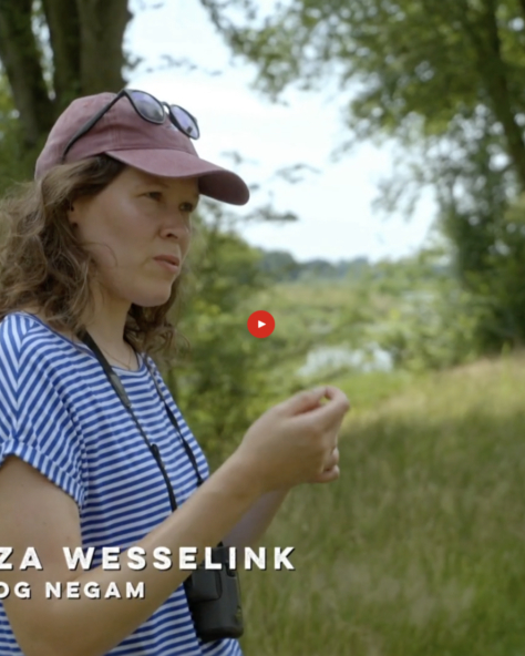 Thirza Vroege Vogels