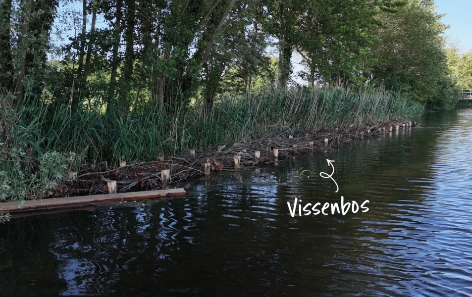 Vissenbos1