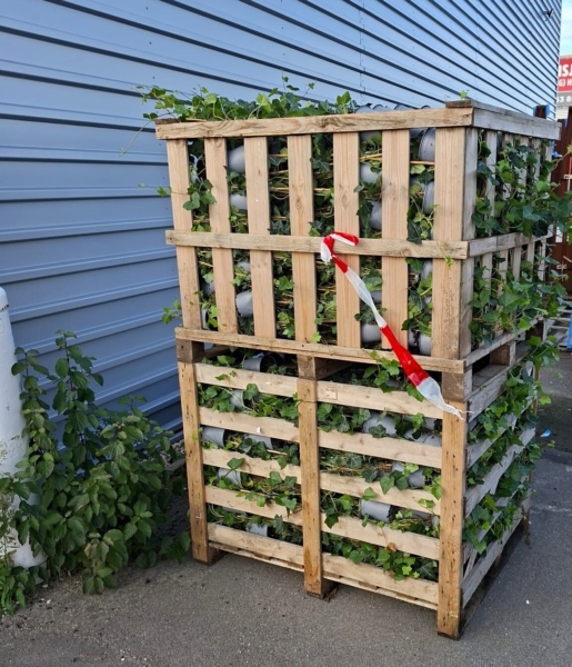 Whats App Image 2025 11 13 at 12 05 55