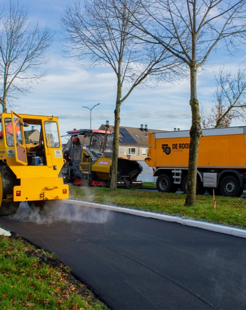 Huizen website