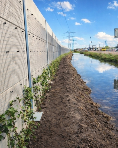 Zichtscherm Blansjaar resultaat