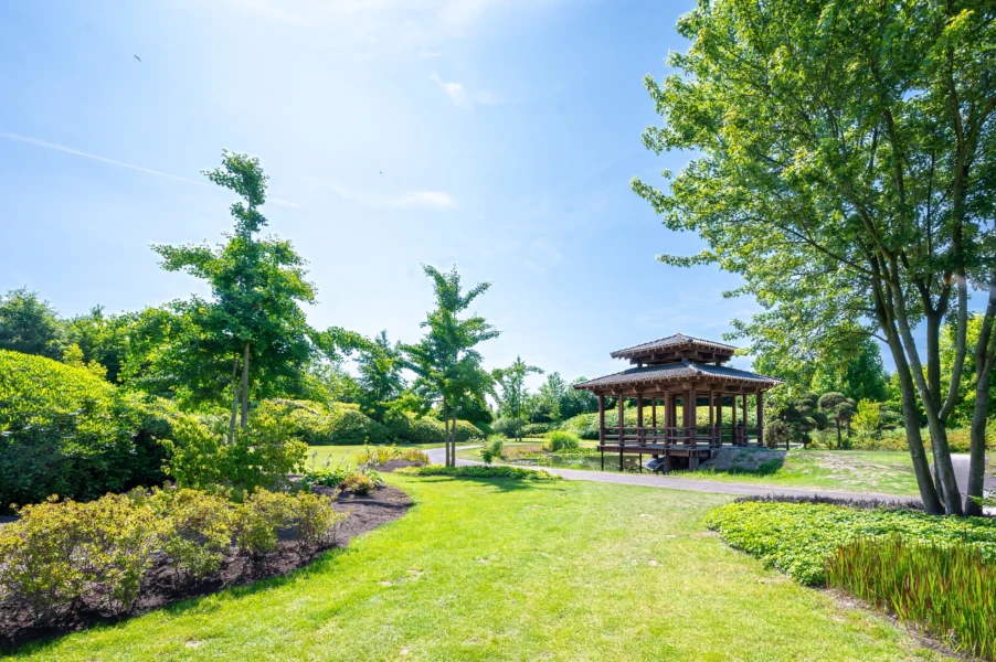 Pagode maxima