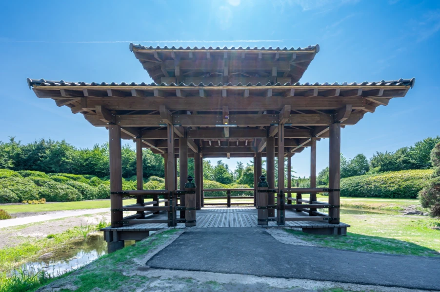 Pagode va