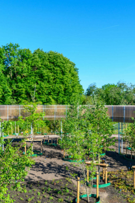 Duurzaam beheer van groenvoorziening