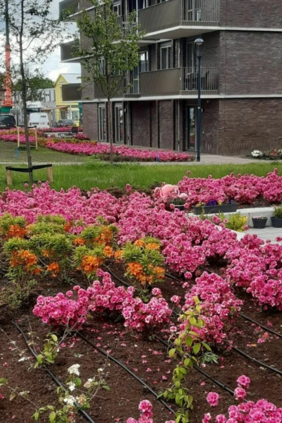 Flora en fauna